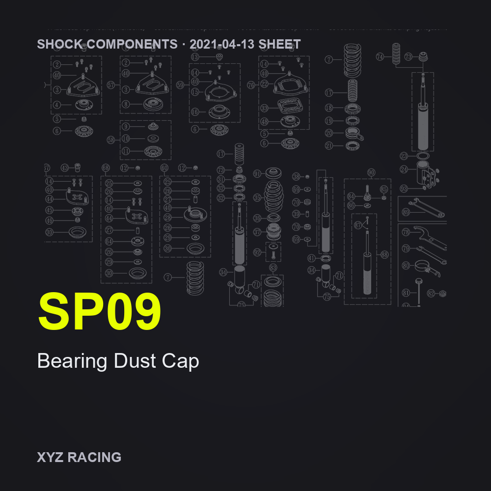 Bearing Dust Cap (SP09)