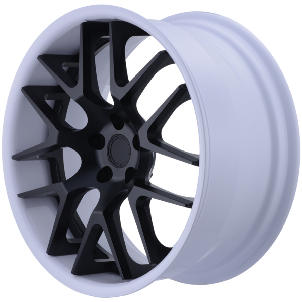 XYZ Forged HLS Series — design HLS-10