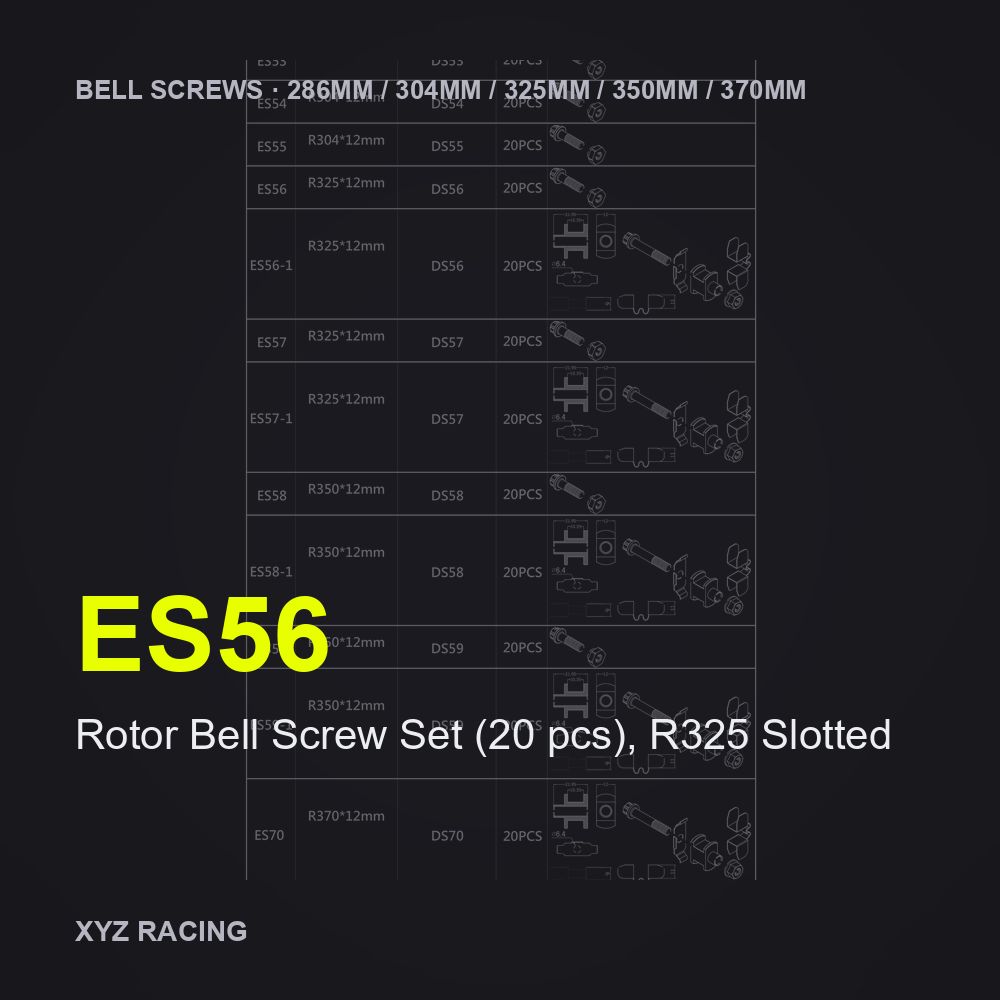 Rotor Bell Screw Set (20 pcs), R325 Slotted (ES56) — Brake Disc Hardware R325