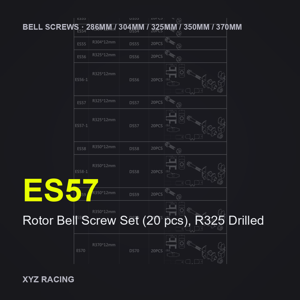 Rotor Bell Screw Set (20 pcs), R325 Drilled (ES57) — Brake Disc Hardware R325