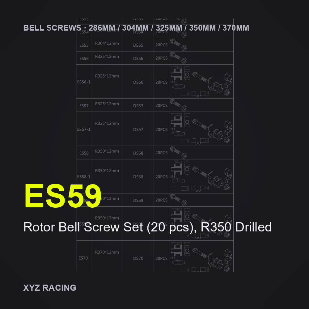 Rotor Bell Screw Set (20 pcs), R350 Drilled (ES59) — Brake Disc Hardware R350
