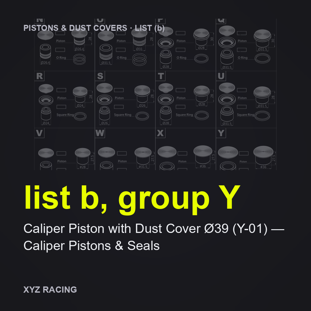 Caliper Piston with Dust Cover Ø39 (Y-01) — Caliper Pistons & Seals (list b, group Y)
